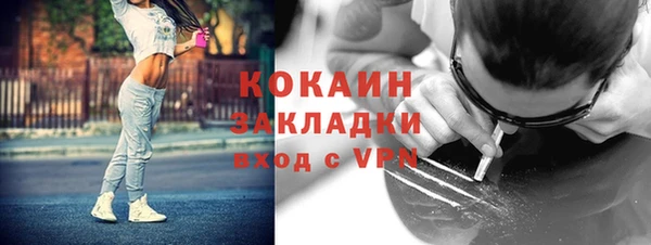 СК Дмитров