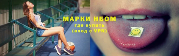 СК Дмитров