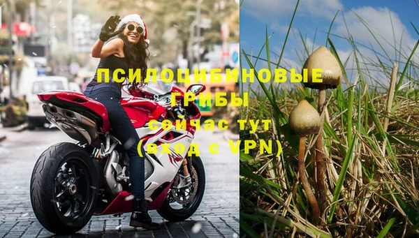 трава Елизово